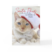 Santa Paws kommt Weihnachten in die Stadt