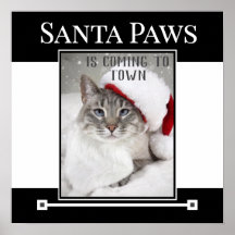 Santa Paws kommt Weihnachten in die Stadt