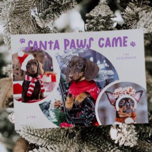 Santa Paws Lilac Dog Foto Ferienkarte Feiertagskarte