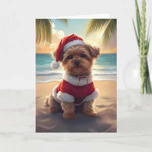 Santa Paws nimmt den Strand - Shih Tzu Weihnachten Karte