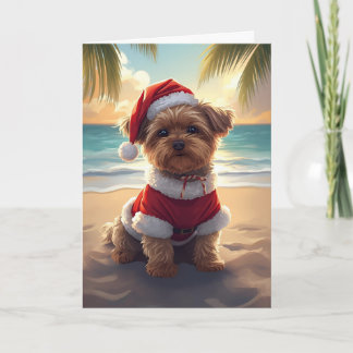 Santa Paws nimmt den Strand - Shih Tzu Weihnachten Karte
