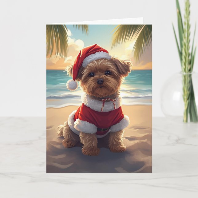 Santa Paws nimmt den Strand - Shih Tzu Weihnachten Karte (Vorderseite)
