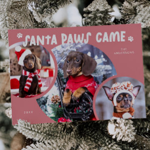 Santa Paws Pink Hund Foto Ferienkarte Feiertagskarte