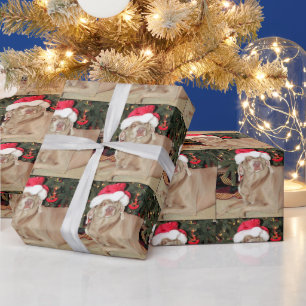 Santa Paws - Weimaraner Hund Weihnachten Geschenkpapier