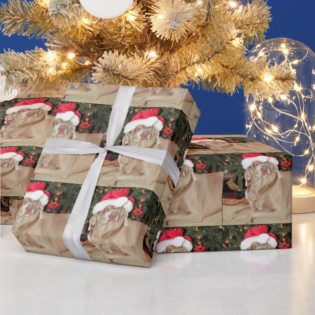 Santa Paws - Weimaraner Hund Weihnachten Geschenkpapier (Feiertage)
