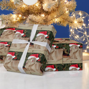 Santa Paws - Weimaraner Stil - Packpapier