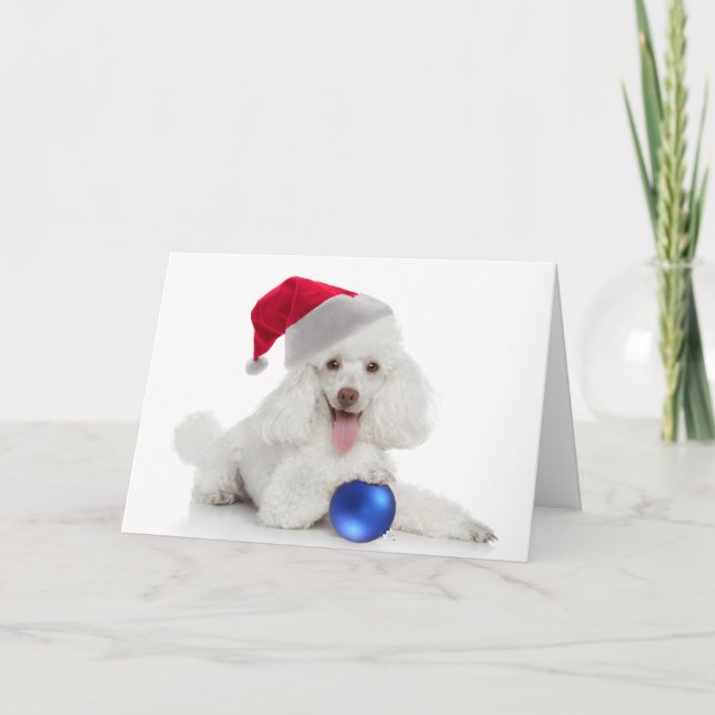 Santa Poodle Card Feiertagskarte (Vorderseite)