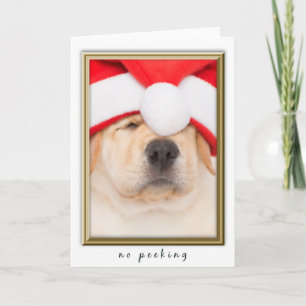 Santa Puppy No Peeking Feiertagskarte