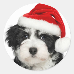 Santa Puppy Round Aufkleber