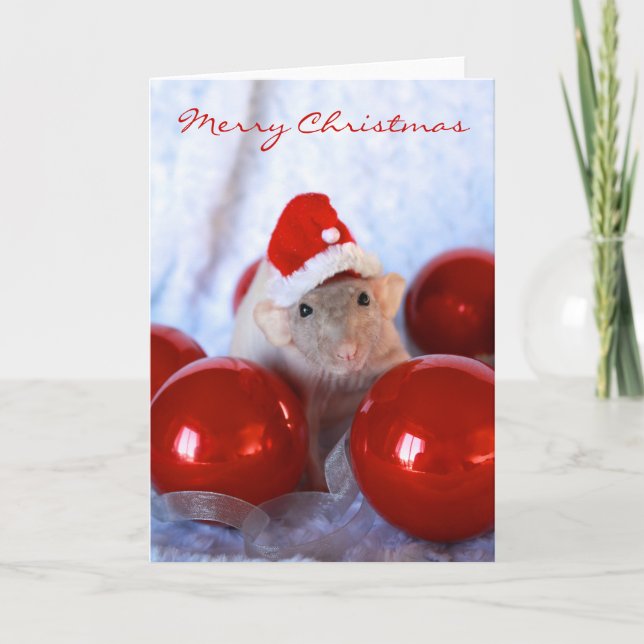 Santa Rattie Card Feiertagskarte (Vorderseite)
