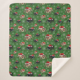 Santa Regal Jumping Spider Phidippus Regius grün Sherpadecke