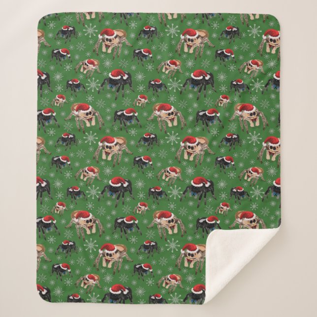 Santa Regal Jumping Spider Phidippus Regius grün Sherpadecke (Vorderseite)