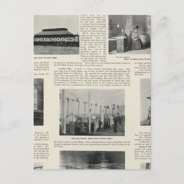 Santa Rosa, Kalifornien Postkarte (Vorderseite)