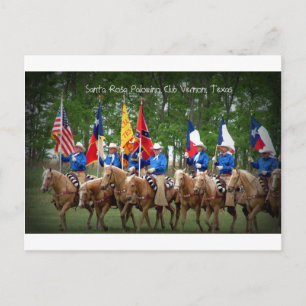 Santa Rosa Palomino Club Vernon, Texas Postkarte