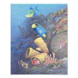 Santa Rosa Wall 1 Kunstdruckkunst Fotodruck