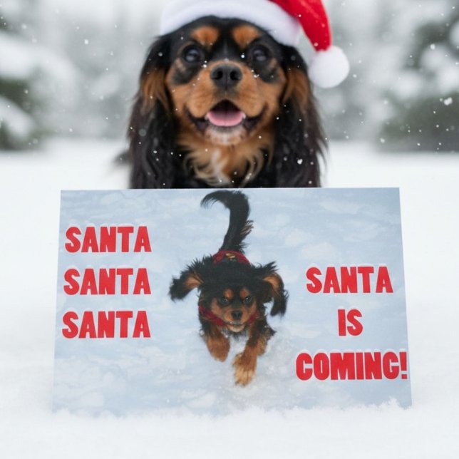 Santa, Santa, Santa Cavalier King Charles Spaniel Feiertagskarte (Von Creator hochgeladen)