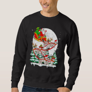 Santa-Schlitten-Rentier-Ragdoll-Katzen-Weihnachten Sweatshirt
