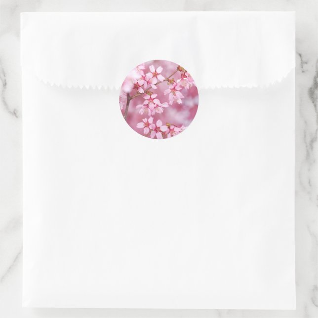 Santa Shih Tzu Holiday Stickers (Tasche)
