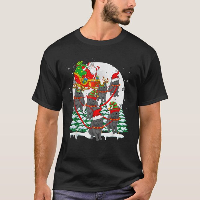Santa Sleigh Reindeer Chartreux Cats Xmas Cat Owne T-Shirt (Vorderseite)