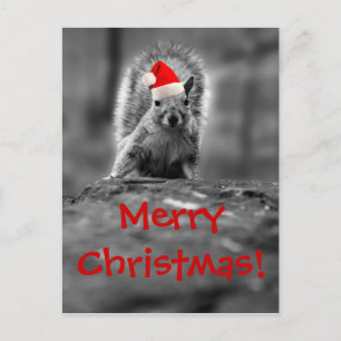 Santa Squirrel Frohe Weihnachts Postkarte