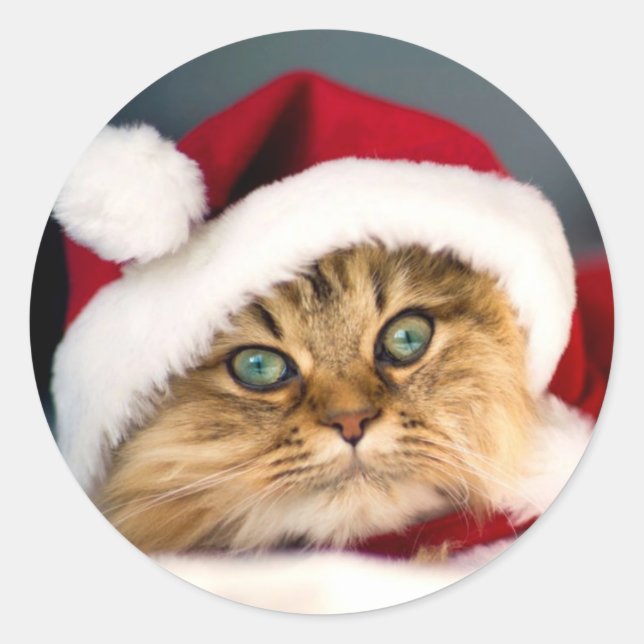 Santa Tabby Cat Classic Round Aufkleber (Vorderseite)