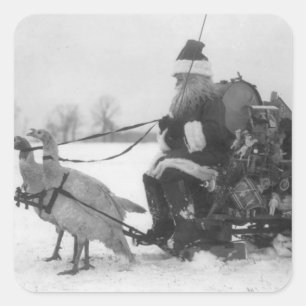 Santa und seine Truthahn-Rentiere Quadratischer Aufkleber