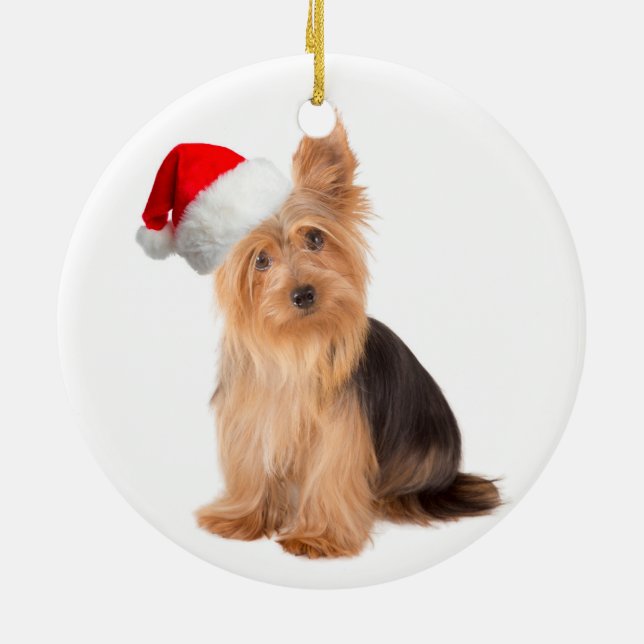 Santa Yorkie Ornament (Hinten)