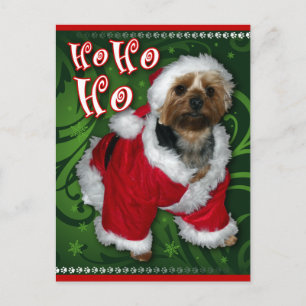 Santa Yorkie Postcard Feiertagspostkarte