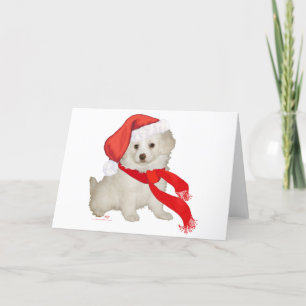 Santa's Helfer Welpe Poodle / Bichon Mix Feiertagskarte