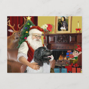 Santa's Newfie Landseer Feiertagspostkarte