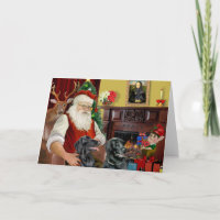 Santas zwei Flat Coated Retriever