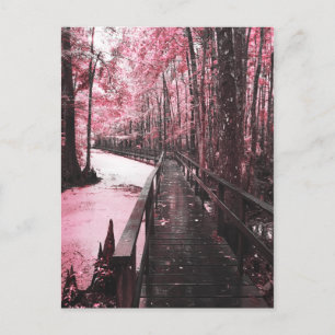 Santee-Sumpf Traumlandschaft Postkarte