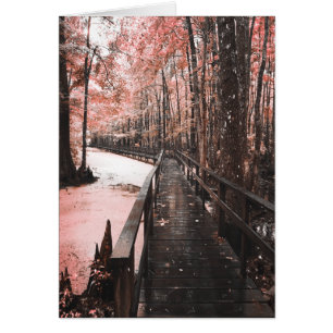 Santee-Sumpflandschaft