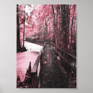 Santee-Sumpflandschaft Poster