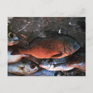 Santorin Frischfisch Griechenland Postkarte