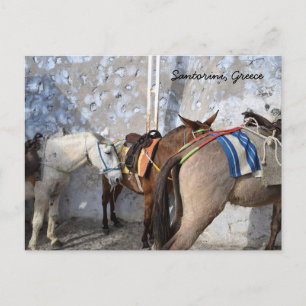 Santorin, Griechenland - Donkeys Postkarte