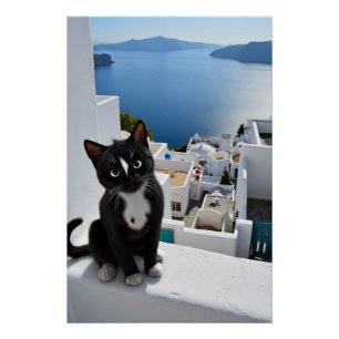 Santorini Dream mit Felini Poster