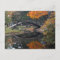 SANY4603 Fall Foliage