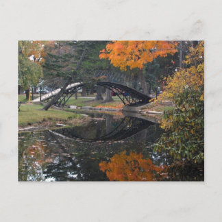 SANY4603 Fall Foliage Postkarte