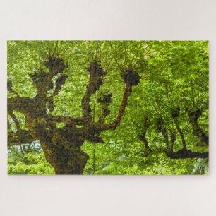 São-Miguel-Insel Puzzle