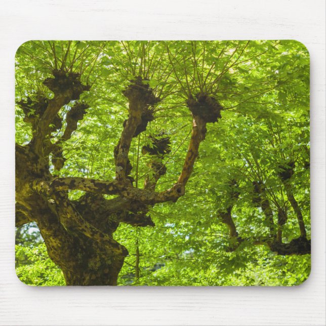 Sao Miguel Island Mousepad (Vorne)