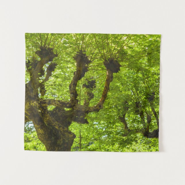 Sao Miguel Island Wandteppich (Vorderseite (Horizontal))