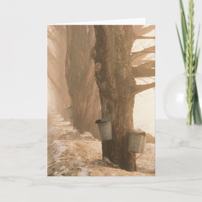 SAP BUCKETS GREETCARDS KARTE (Vorderseite)