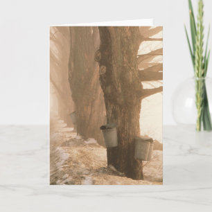 SAP BUCKETS GREETCARDS KARTE