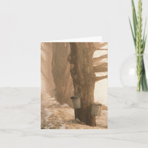 Sap Buckets Note Card Karte