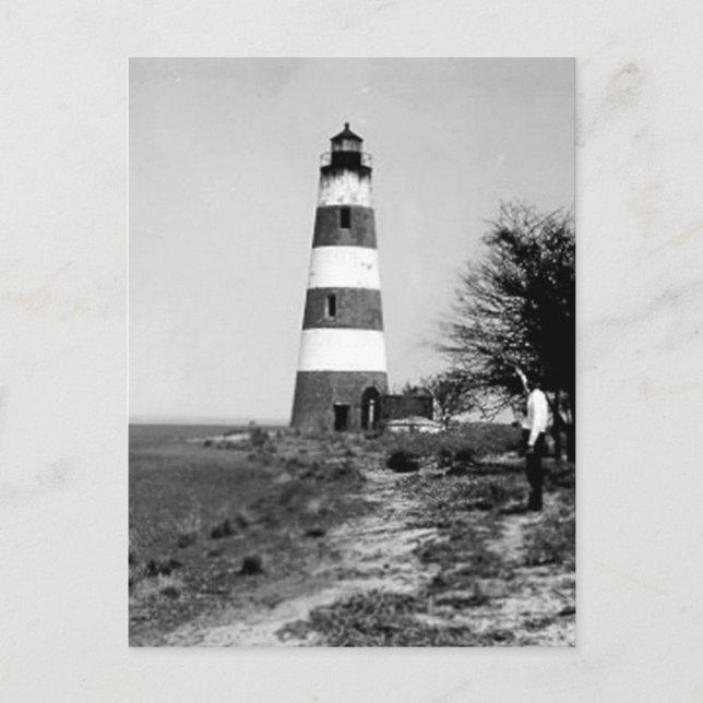 Sapelo Island Lighthouse Postkarte (Vorderseite)