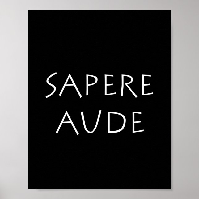 Sapere aude poster (Vorne)