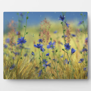 Saphire & Gold Plaque Fotoplatte