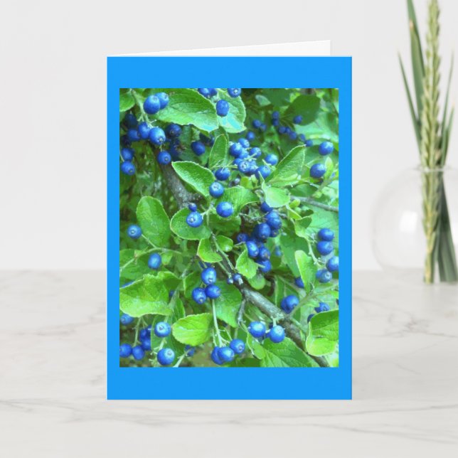 Sapphire Berries Feiertagskarte (Vorderseite)