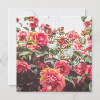 Sapphire Gold | Square Flat Card mit Umschlag